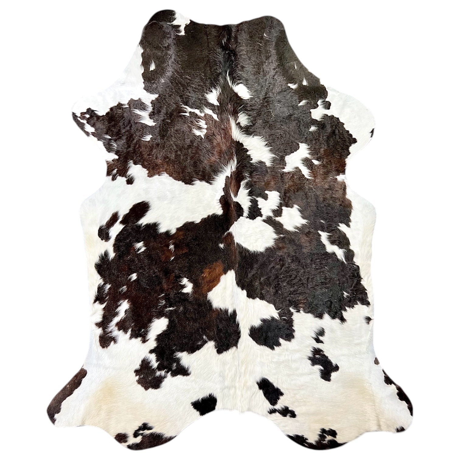 Genuine Cowhide Rugs | Tannery Direct & Ethically Sourced