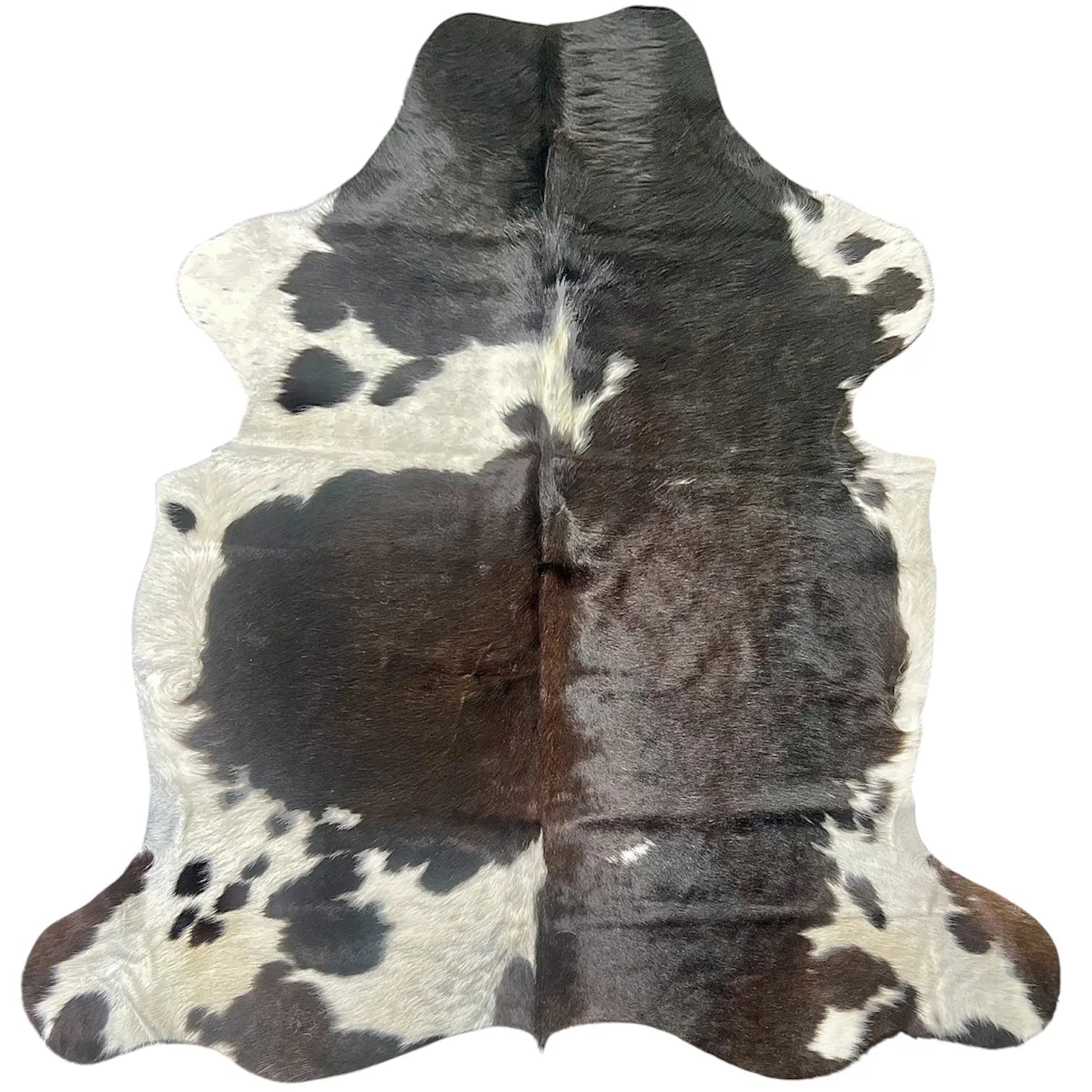 Large Tricolor Cowhide Rug L387 - 6x 6ft
