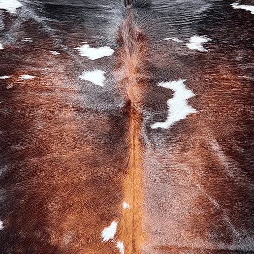 Large Tricolor Cowhide Rug Size 5 x 6.4 ft - 5348P