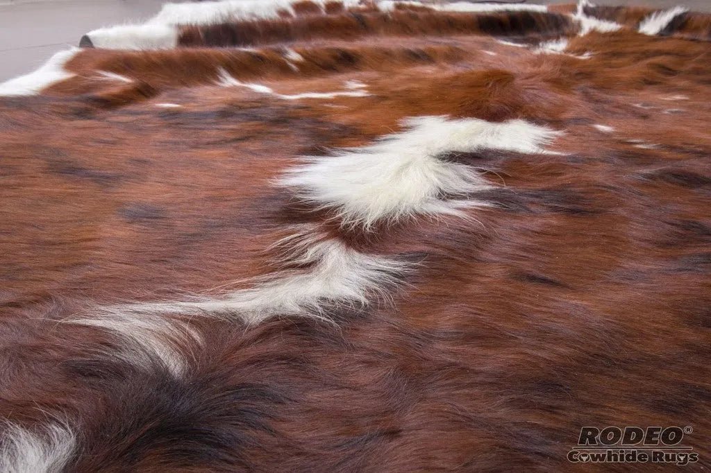 Tricolor White Belly Cowhide Rug