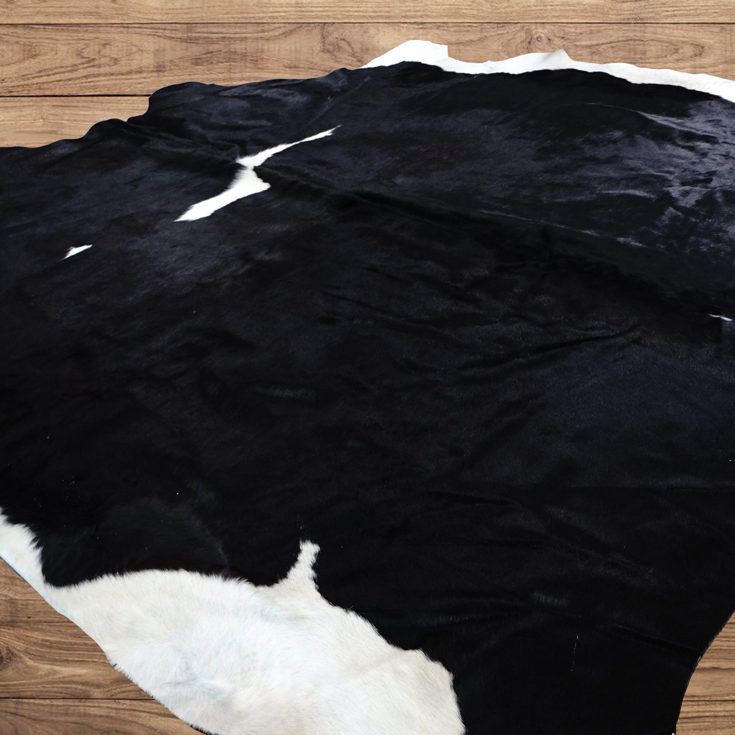 Large RODEO Black with white belly cowhide rug 6.7 x 6.9 ft -4173 - Rodeo Cowhide Rugs