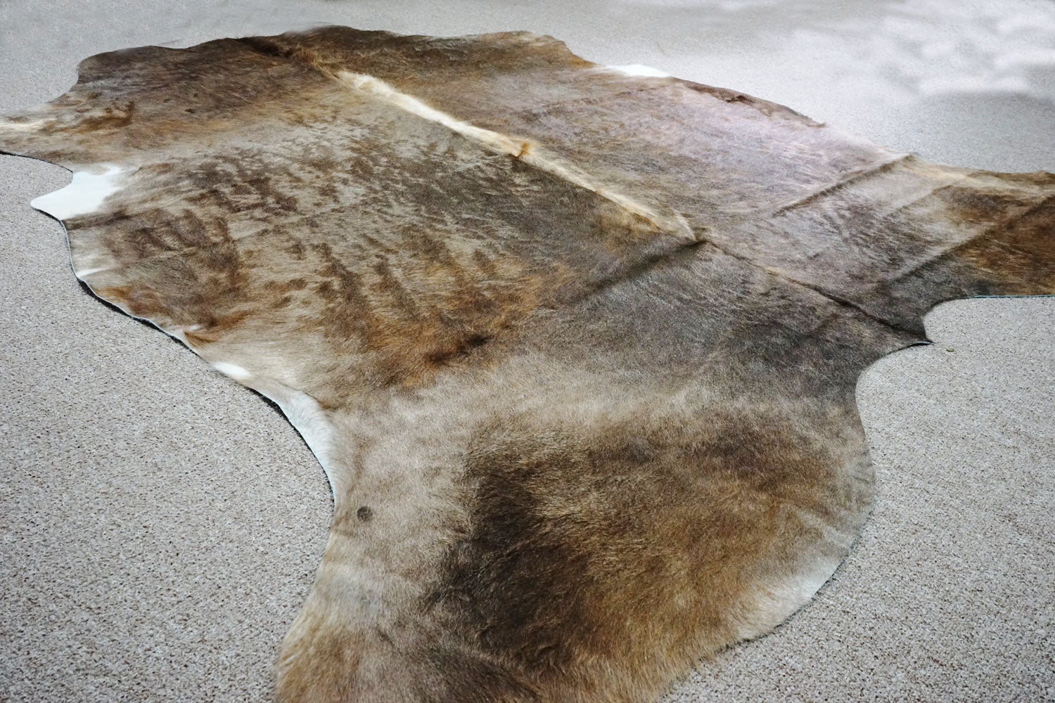 Large Exotic cowhide rug 6.5x7 ft -4064 - Rodeo Cowhide Rugs