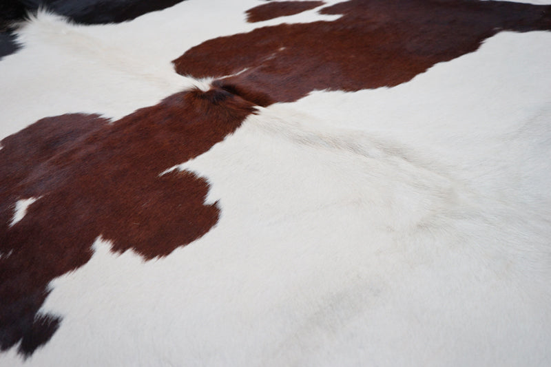Extra Large Brazilian Cowhide rug 7.9x 6.10 ft -3958 - Rodeo Cowhide Rugs