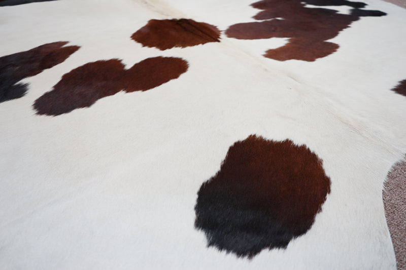 Extra Large Brazilian Cowhide rug 7.9x 6.6 ft -3961 - Rodeo Cowhide Rugs