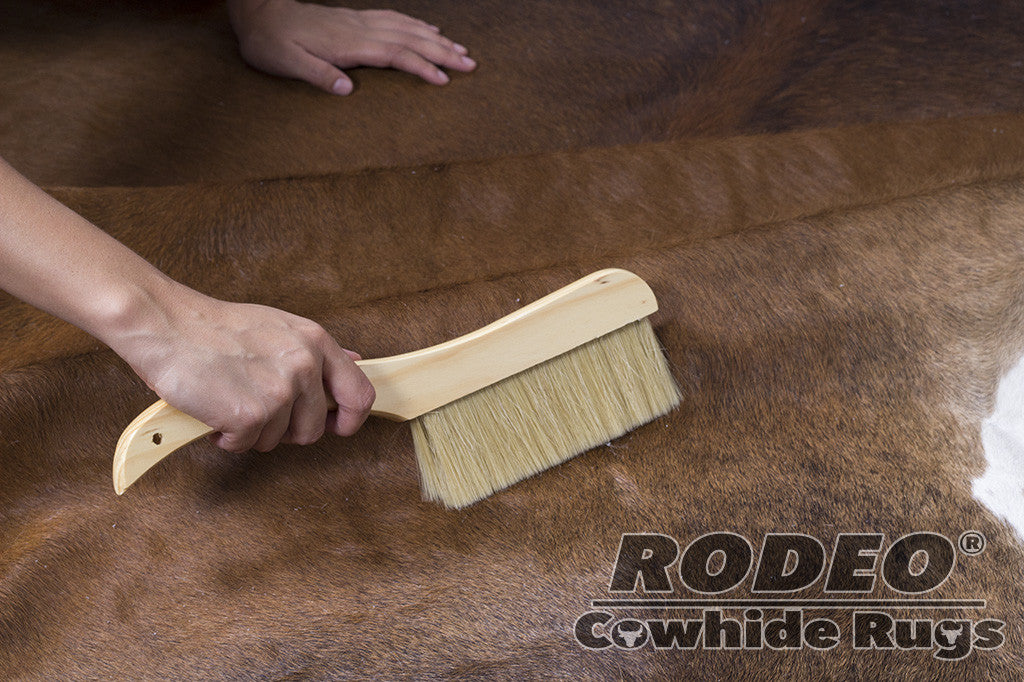 Rodeo Cowhide Soft Bristle Brush/Shampoo Rug Cleaner Combo